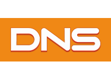 DNS логотип